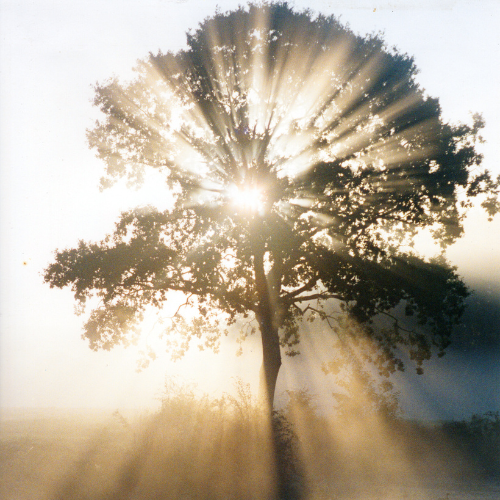 Features of Wisdom House